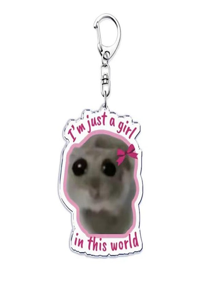 EXPHAIN 5 Pieces Sad Hamster Meme Keychain For Women Cute Key Chain for Backpack Charm Accessories Funny Kawaii Keychains Set - Image 2
